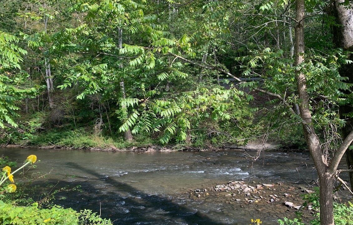 Photo of Outdoor in Bluewell