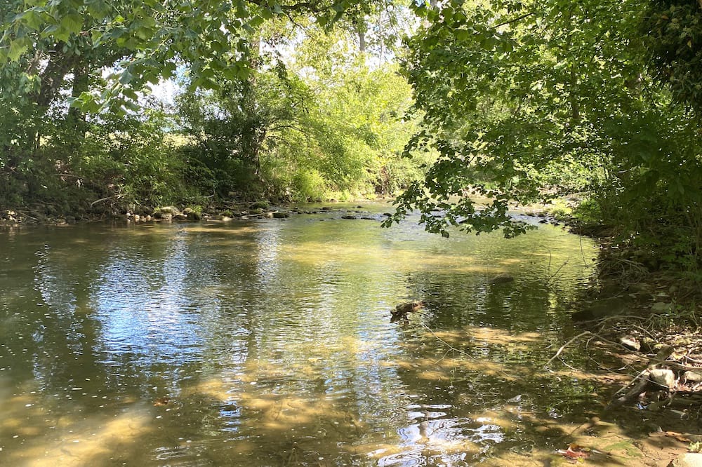 Photo of Outdoor in Rockbridge Baths