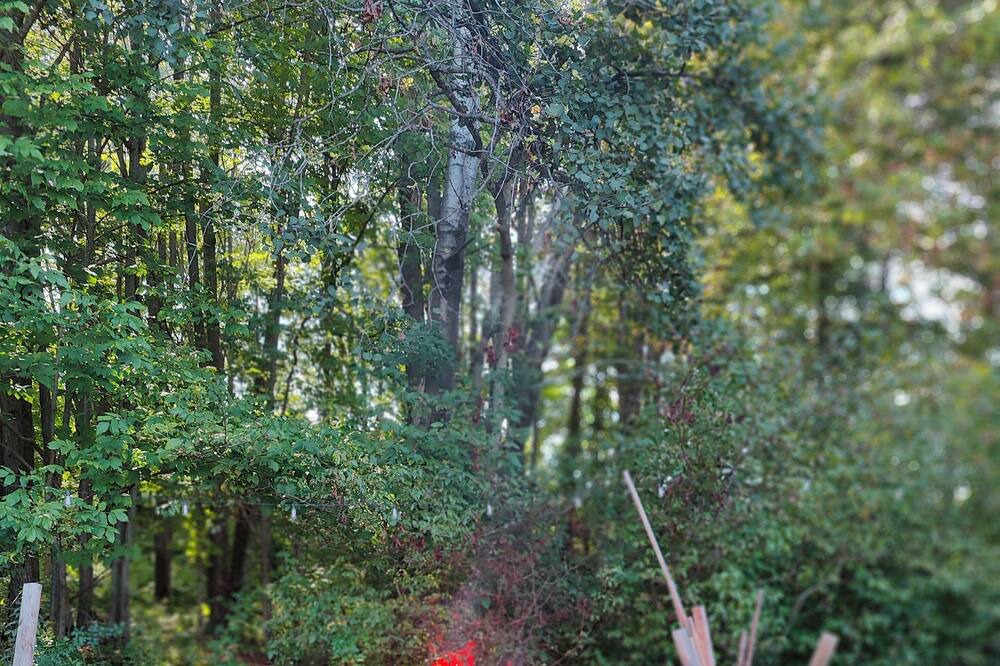 Photo of Outdoor in Mt Cobb