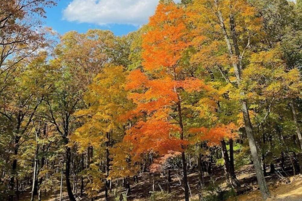 Photo of Outdoor in Lost River