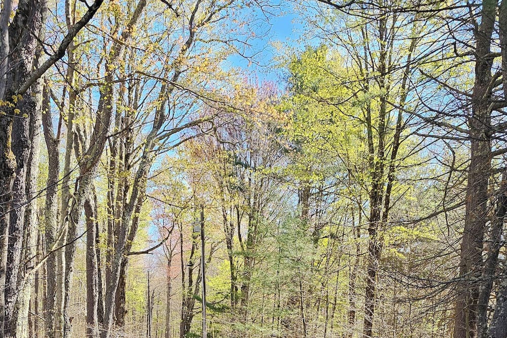 Photo of Outdoor in Claryville