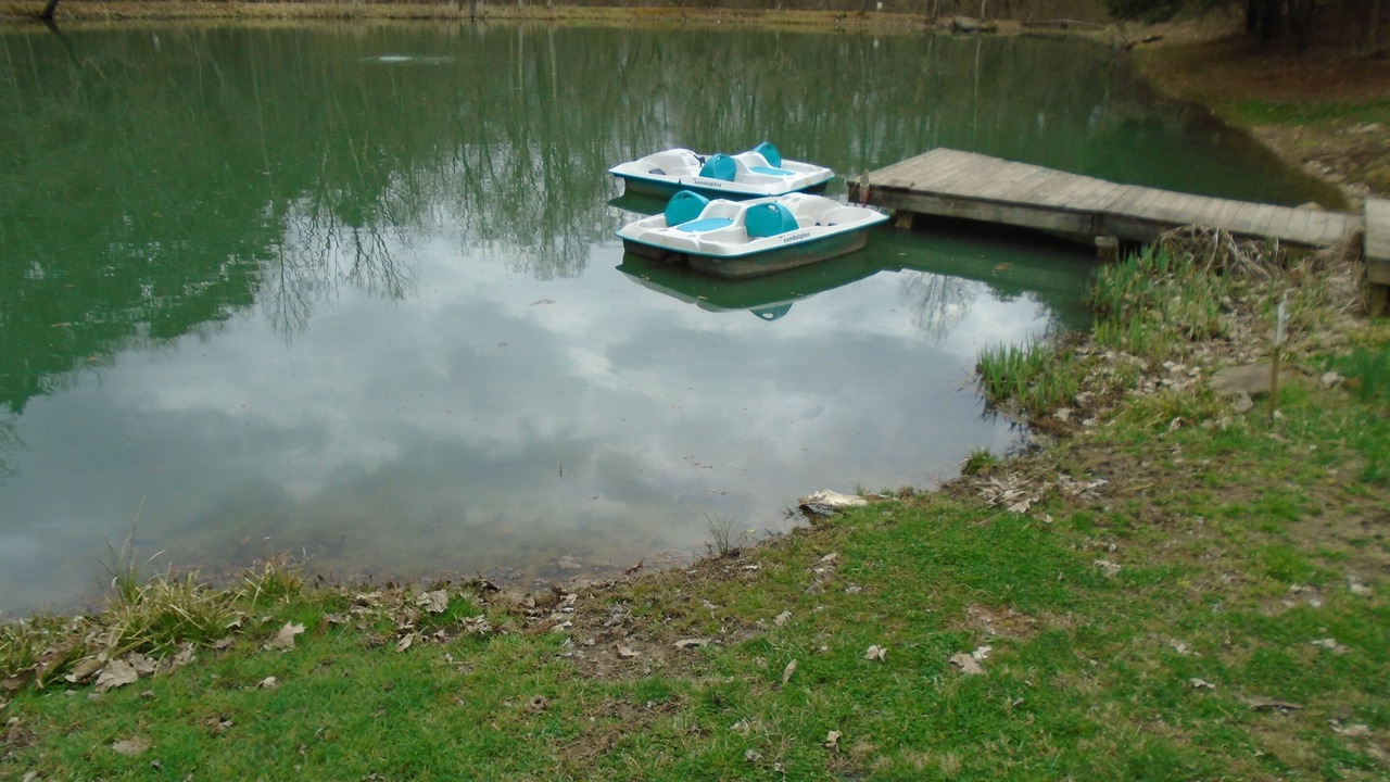 Photo of Others in Carbon Hill