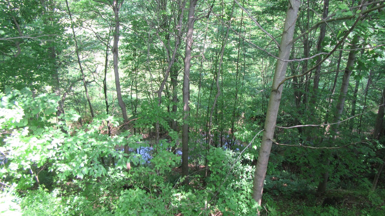 Photo of Outdoor in Logan