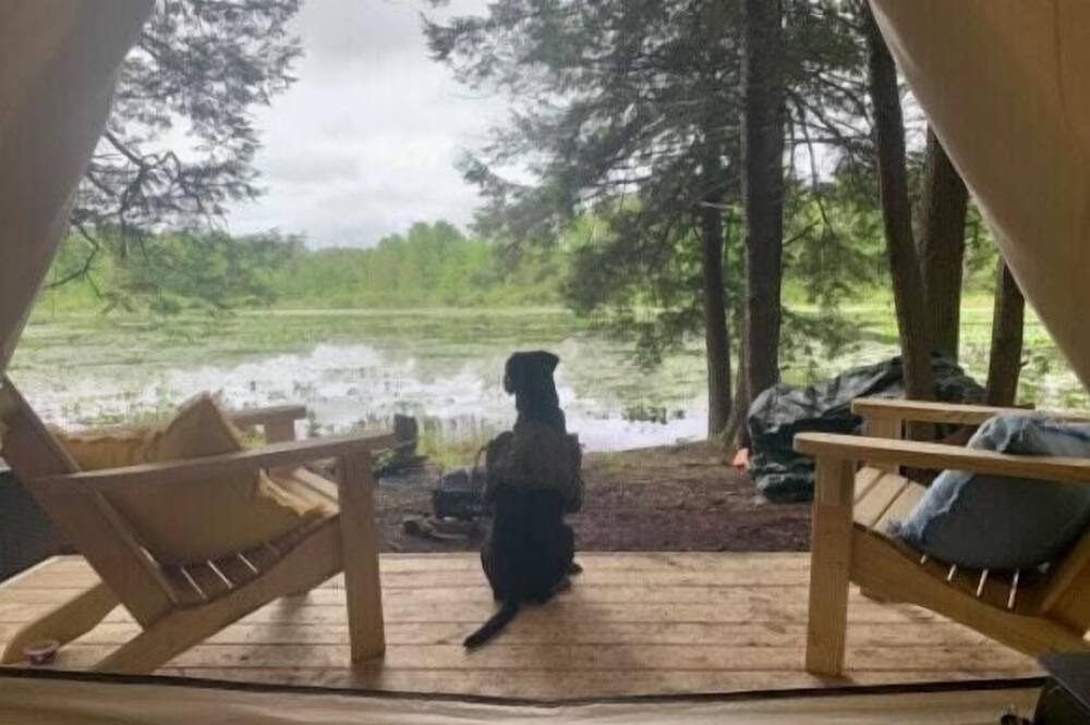 Photo of Others in Guys Mills
