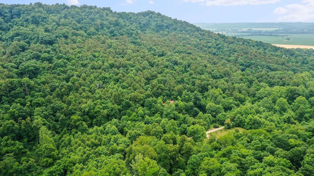 Photo of Outdoor in Chillicothe