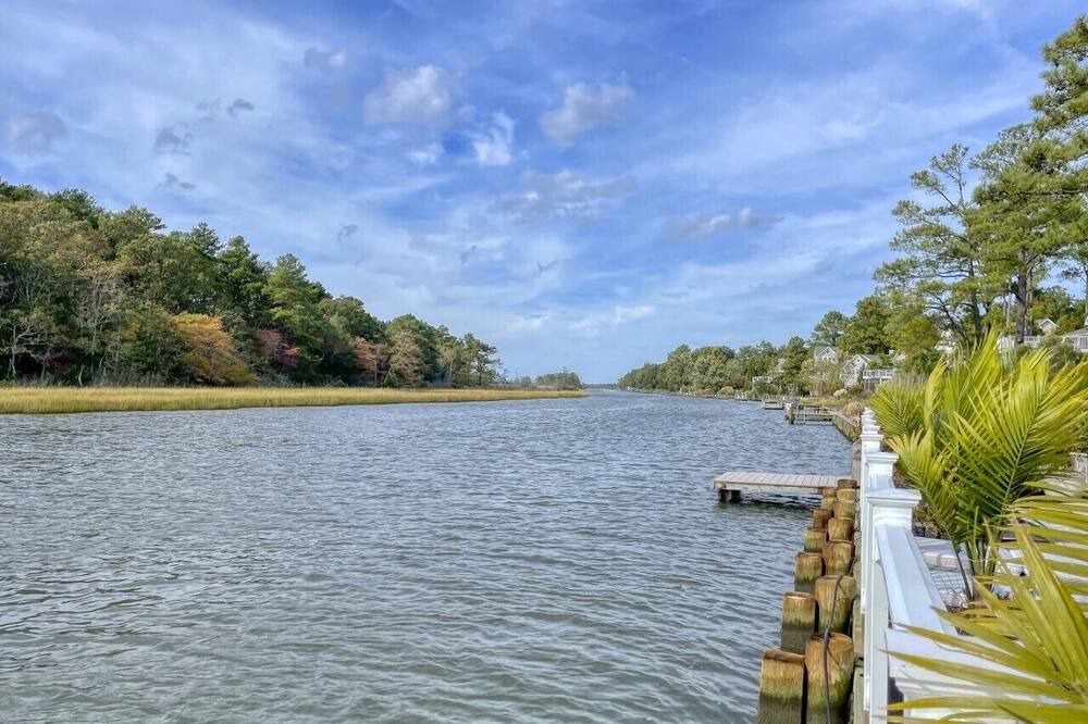Photo of Others in North Shores