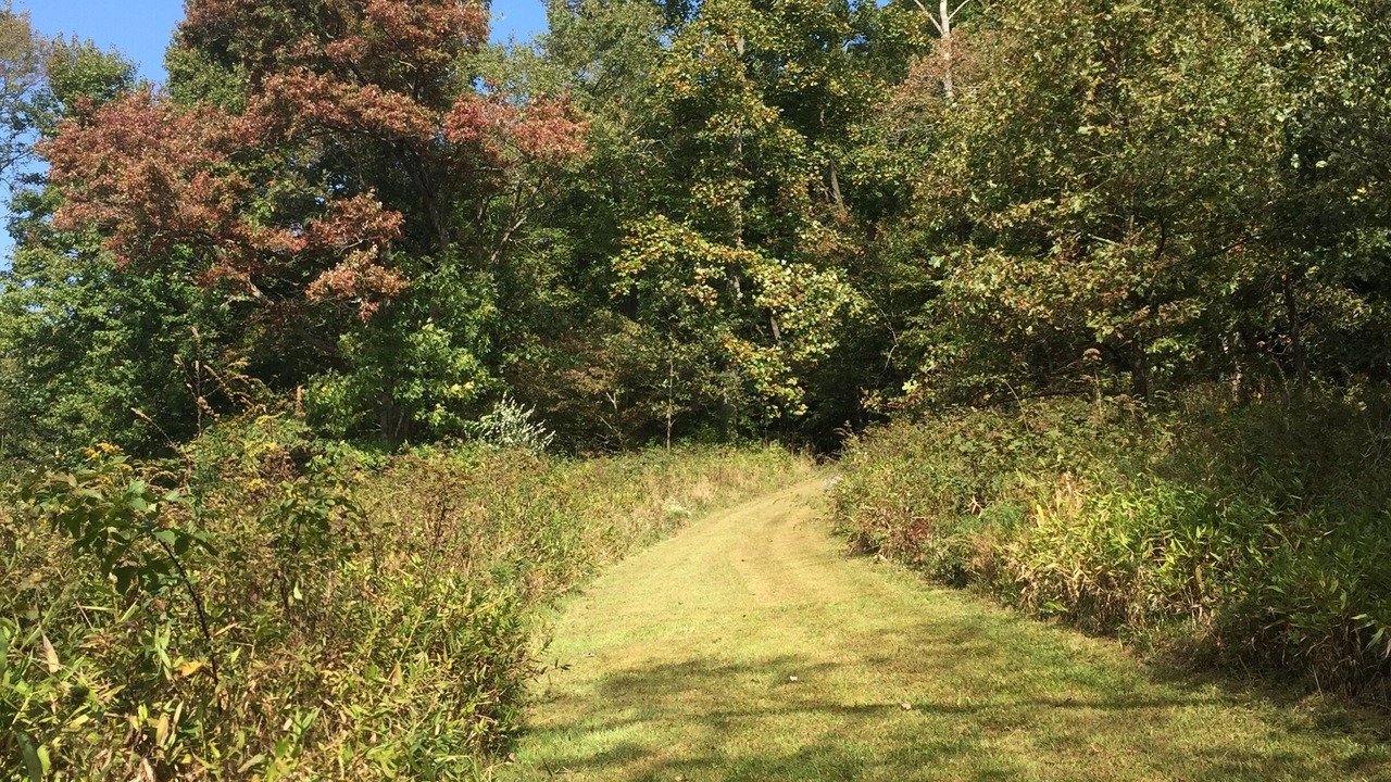 Photo of Outdoor in Stone Creek