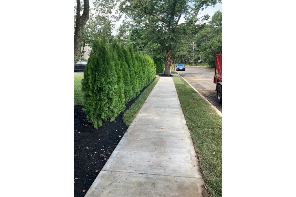 Photo of Outdoor in Lakewood