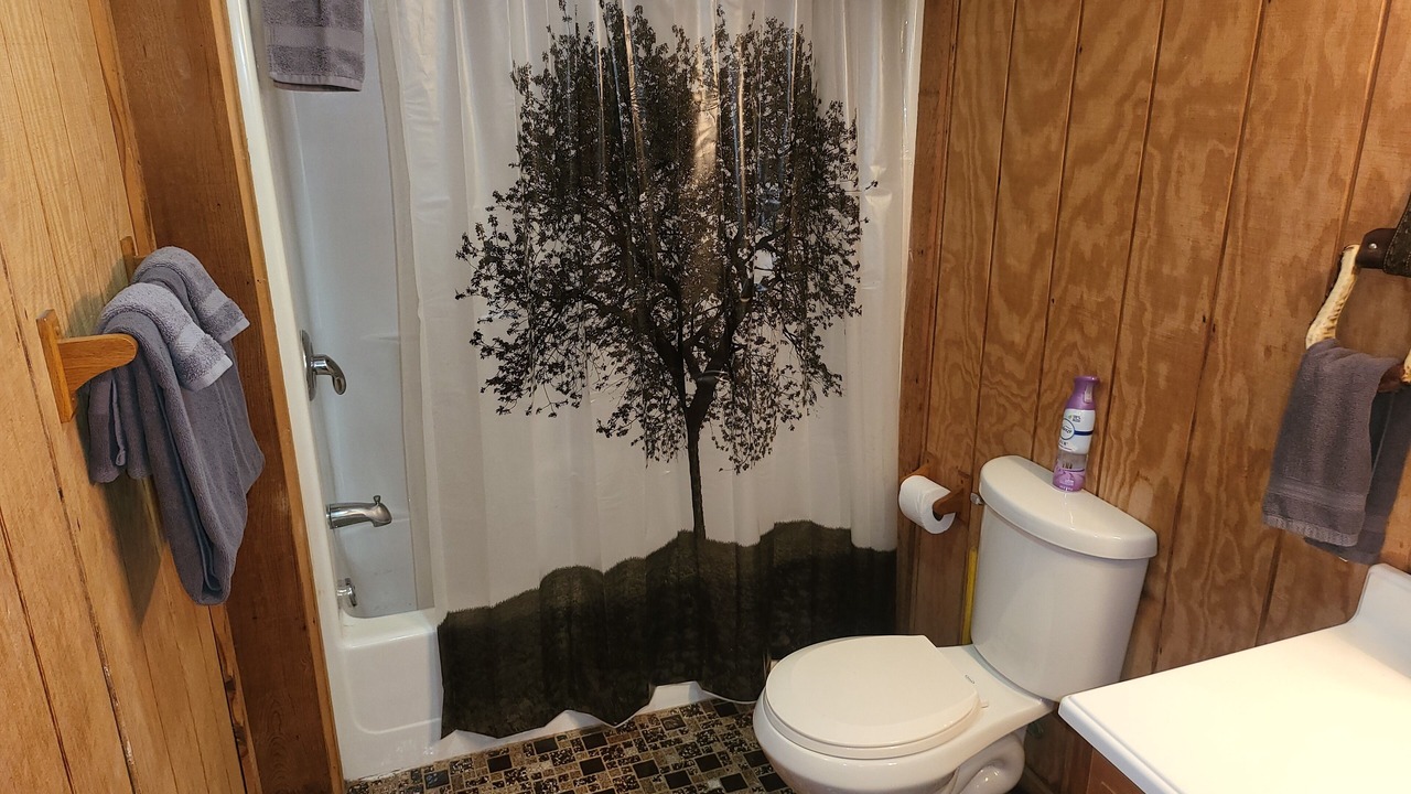 Photo of Bathroom in Gnaw Bone