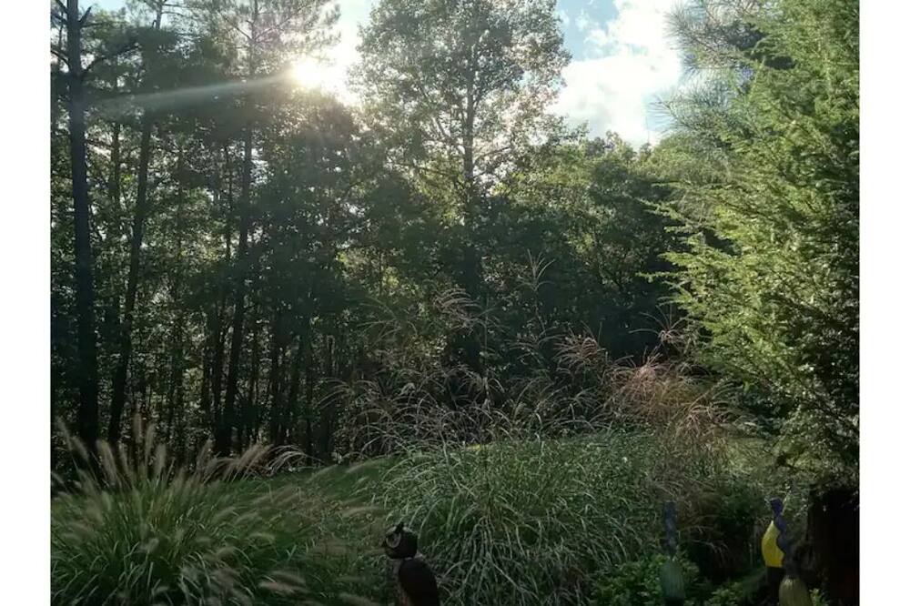 Photo of Outdoor in Faber