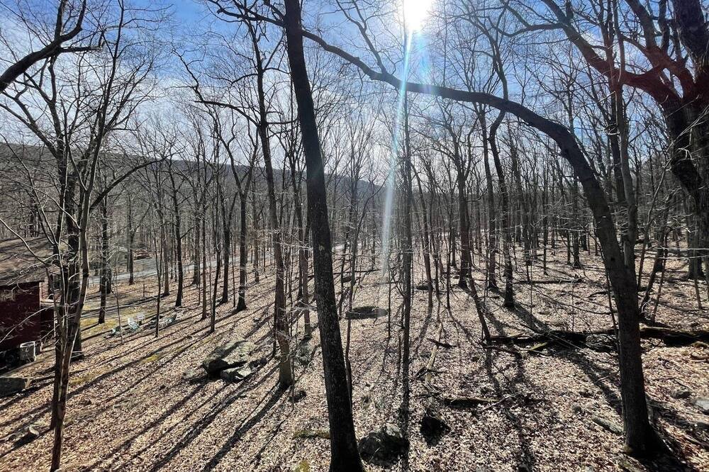 Photo of Outdoor in Sybertsville