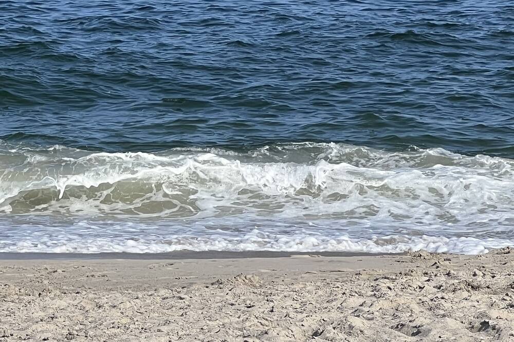 Photo of Others in Long Branch
