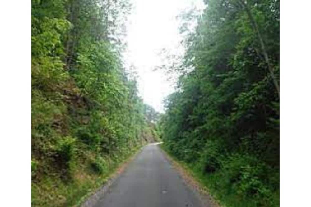 Photo of Outdoor in Bradshaw