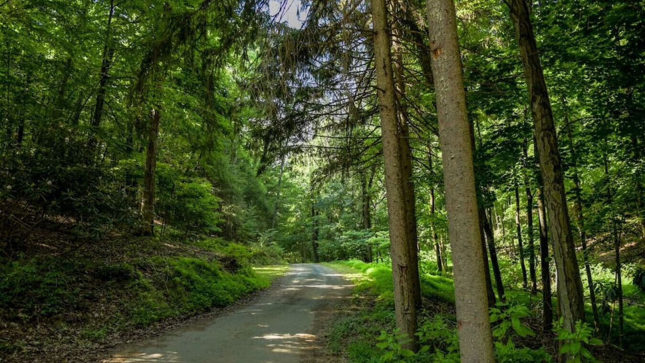 Photo of Outdoor in Halifax