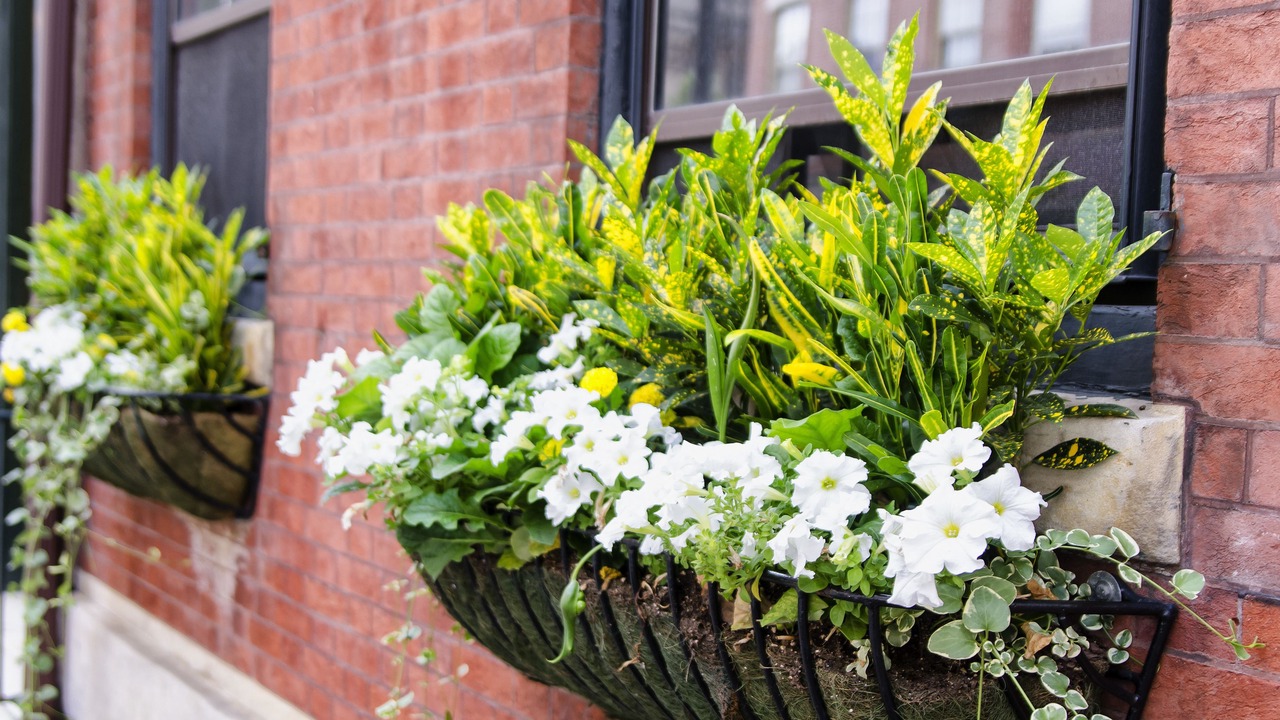 Photo of Outdoor in Rittenhouse Row