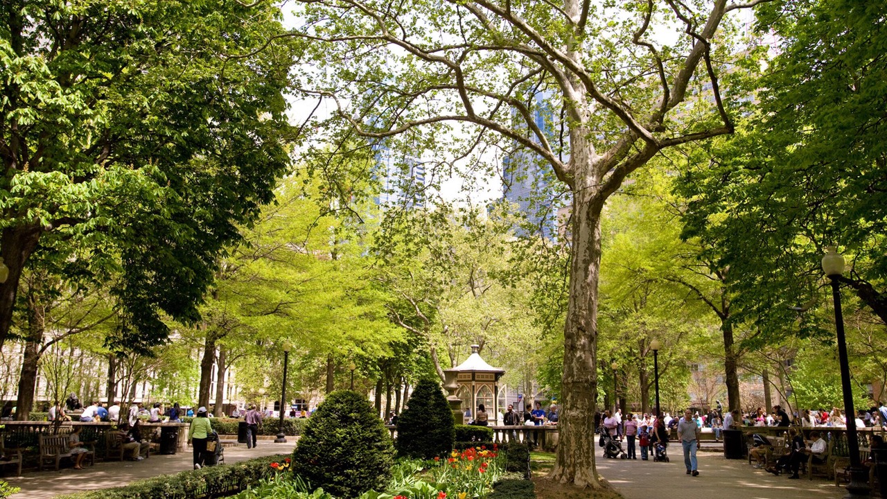 Photo of Others in Rittenhouse Row