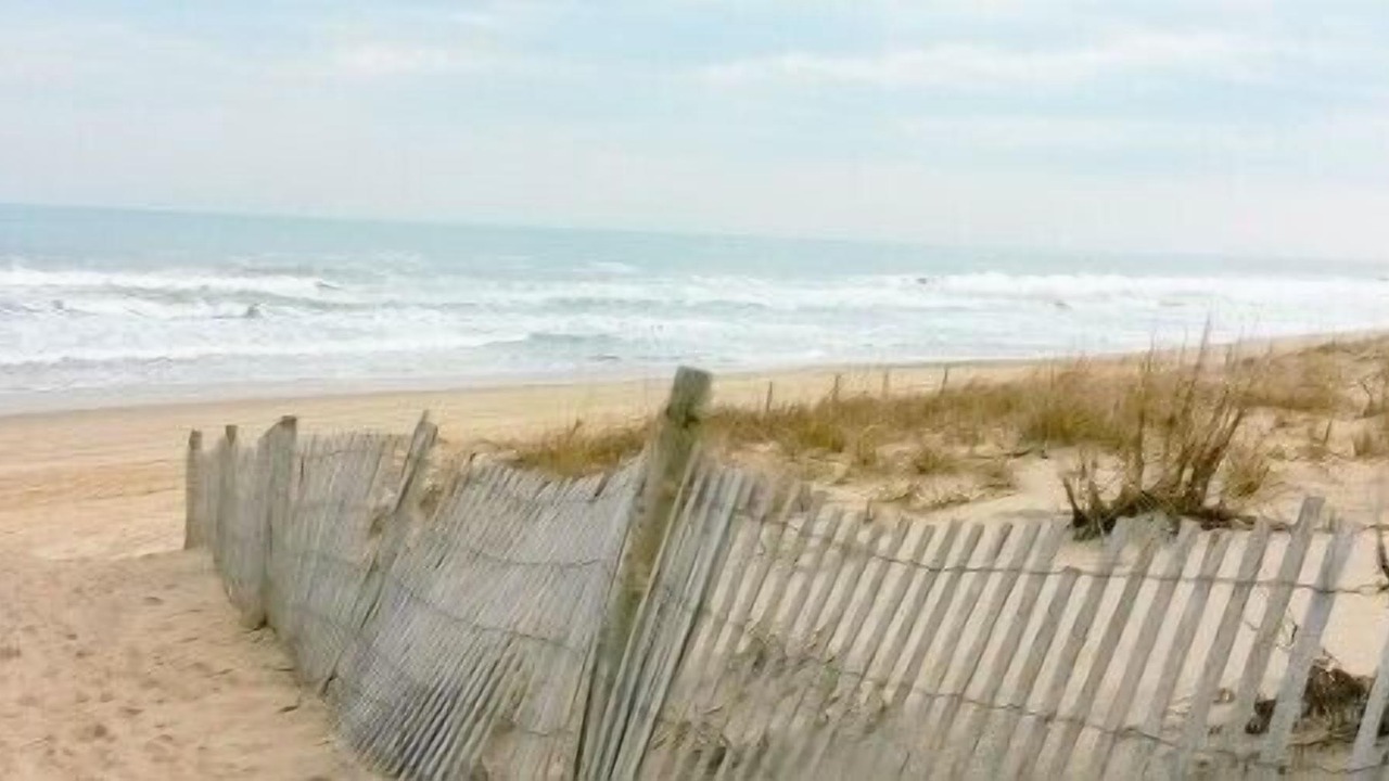 Photo of Others in Fenwick Island