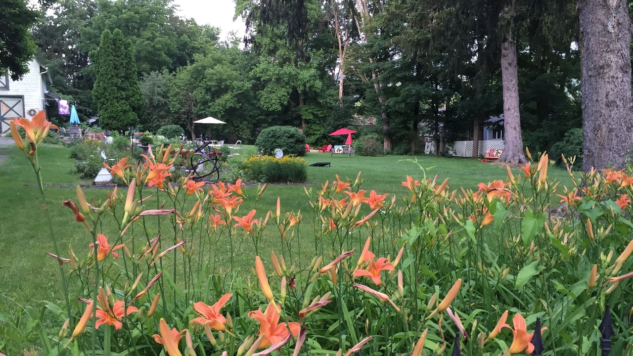 Photo of Outdoor in Hammondsport