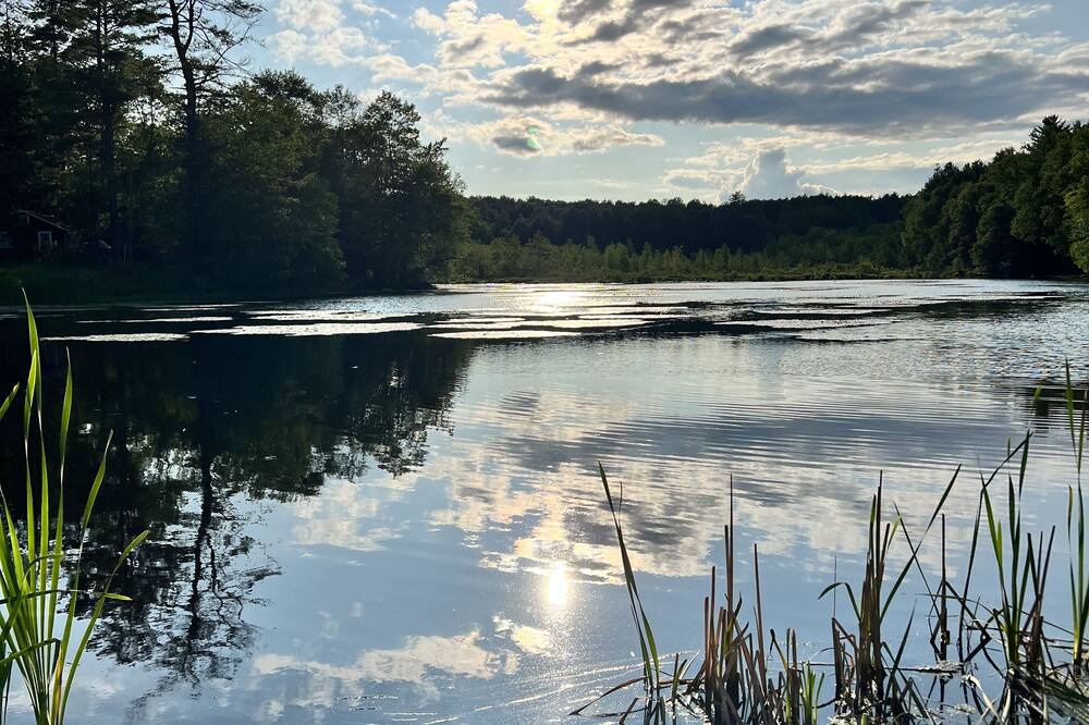 Photo of Others in White Lake