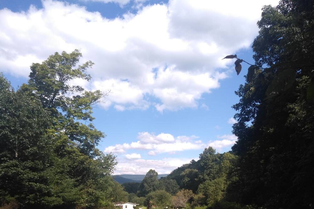 Photo of Others in Dailey