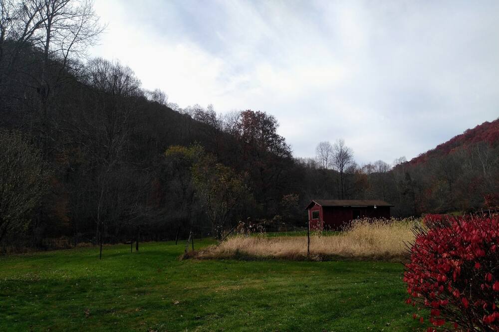 Photo of Others in Dailey