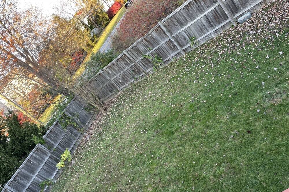 Photo of Others in Rossville