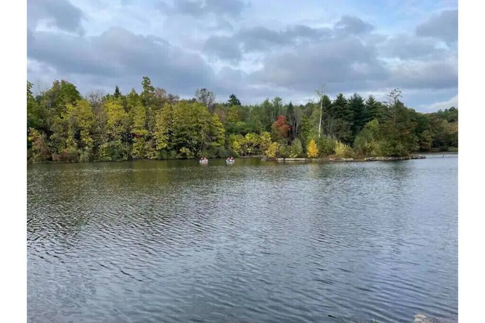 Photo of Outdoor in Grier City-Park Crest