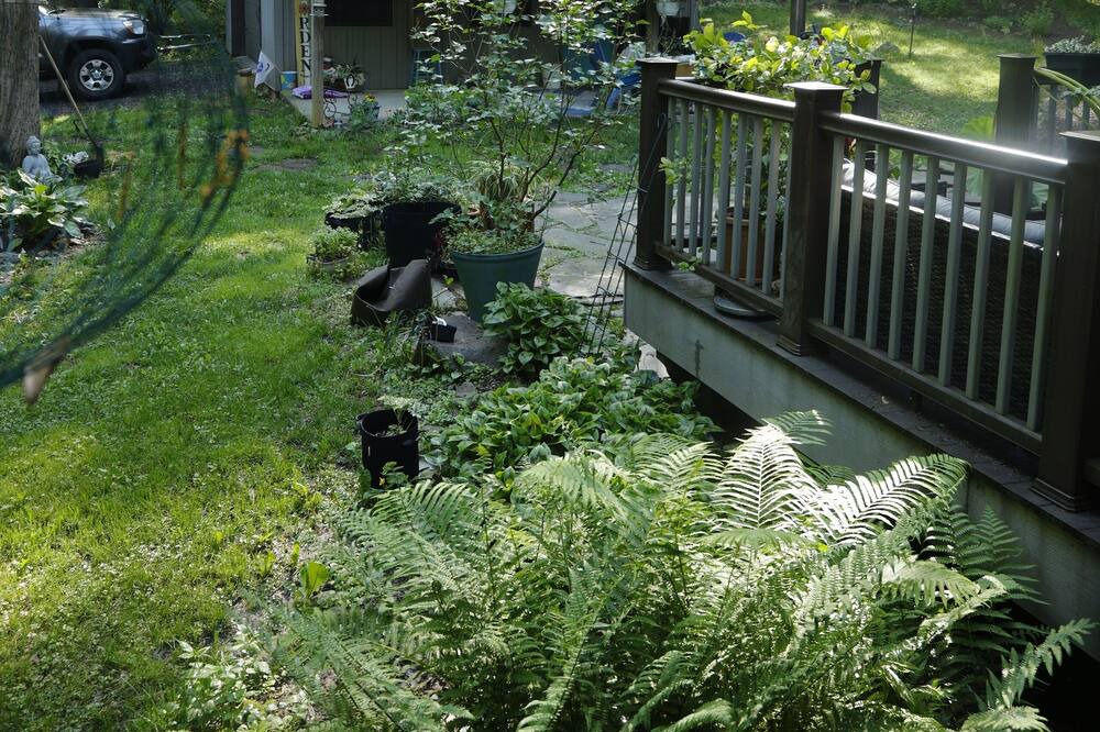 Photo of Outdoor in Mount Gretna Heights