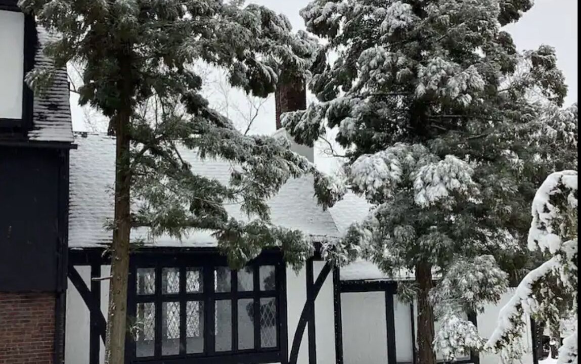 Photo of Others in South Orange
