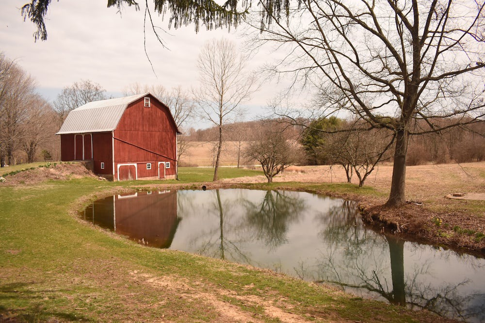 Photo of Outdoor in Bellville