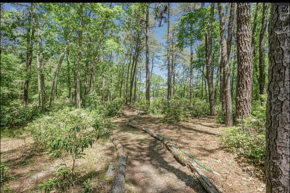 Photo of Outdoor in Medford