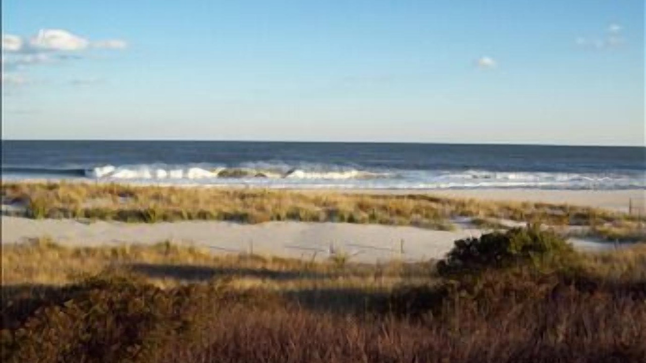 Photo of Others in Barnegat Light