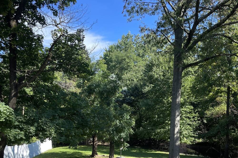 Photo of Outdoor in Ewing