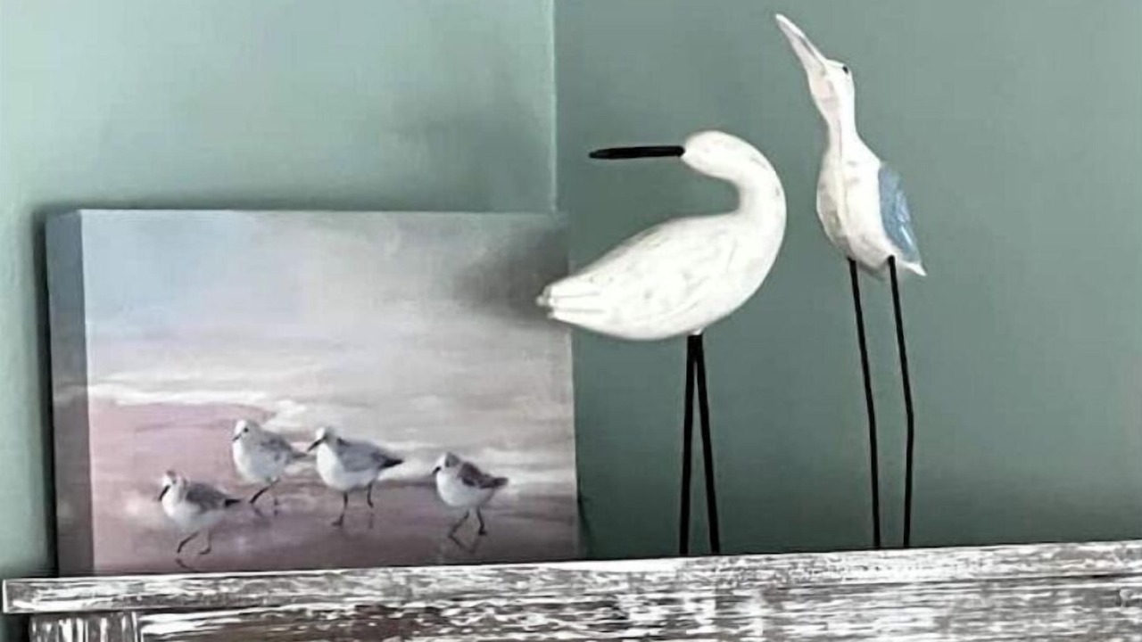 Photo of Others in North Cape May