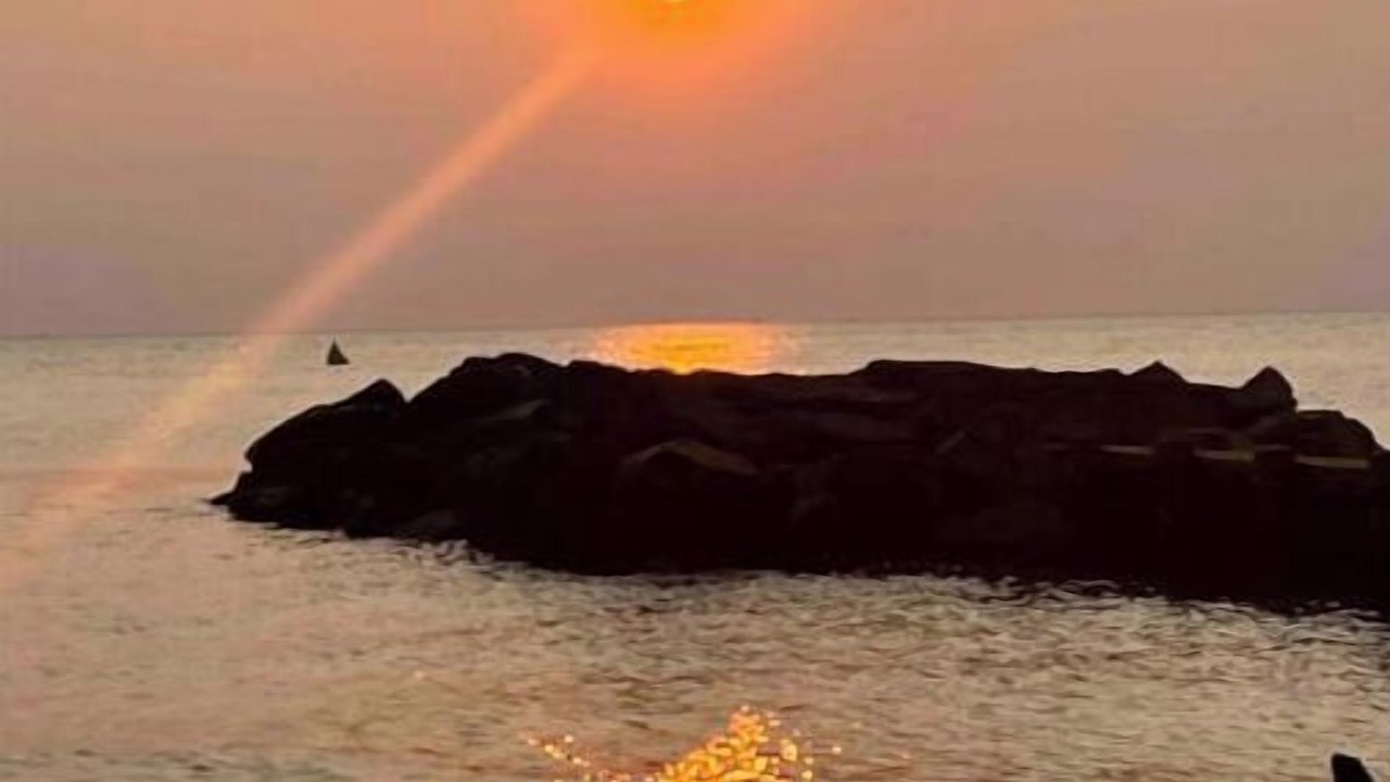 Photo of Others in North Cape May