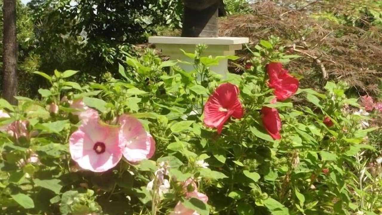Photo of Outdoor in Ridge