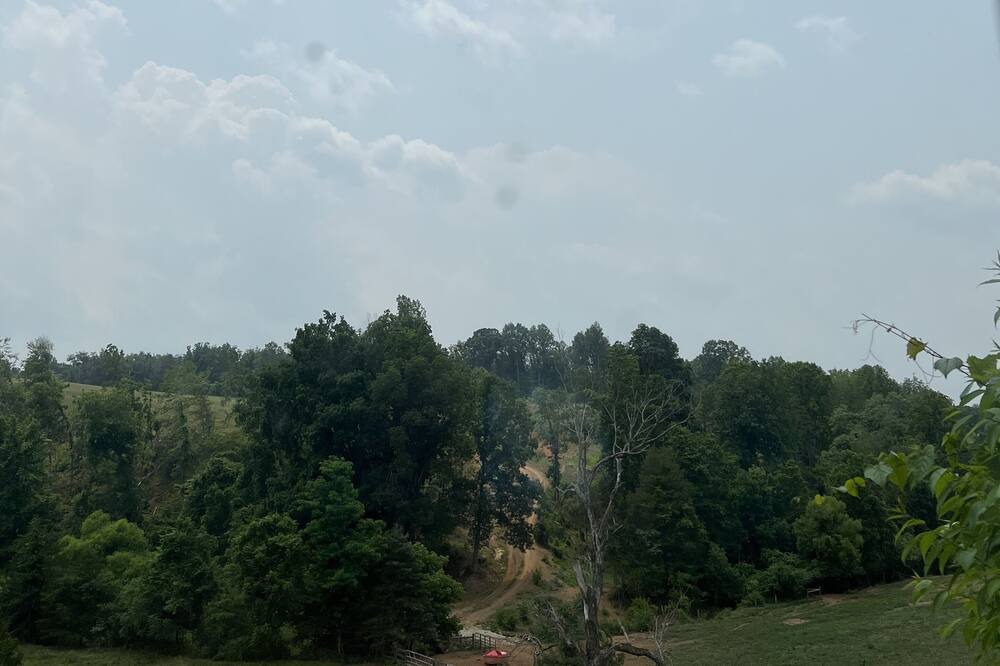 Photo of Others in Clifford