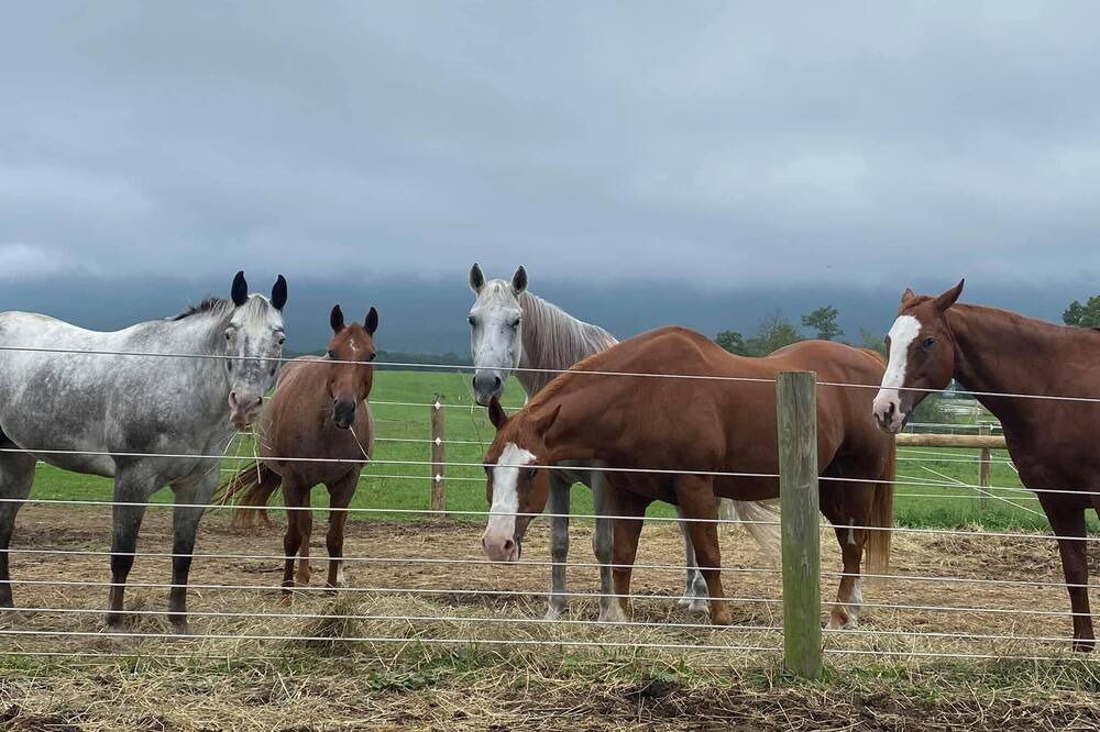 Photo of Others in Newville