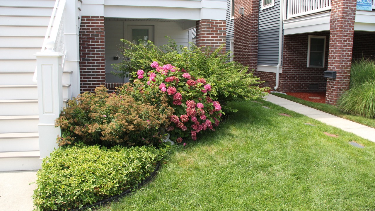 Photo of Outdoor in North End