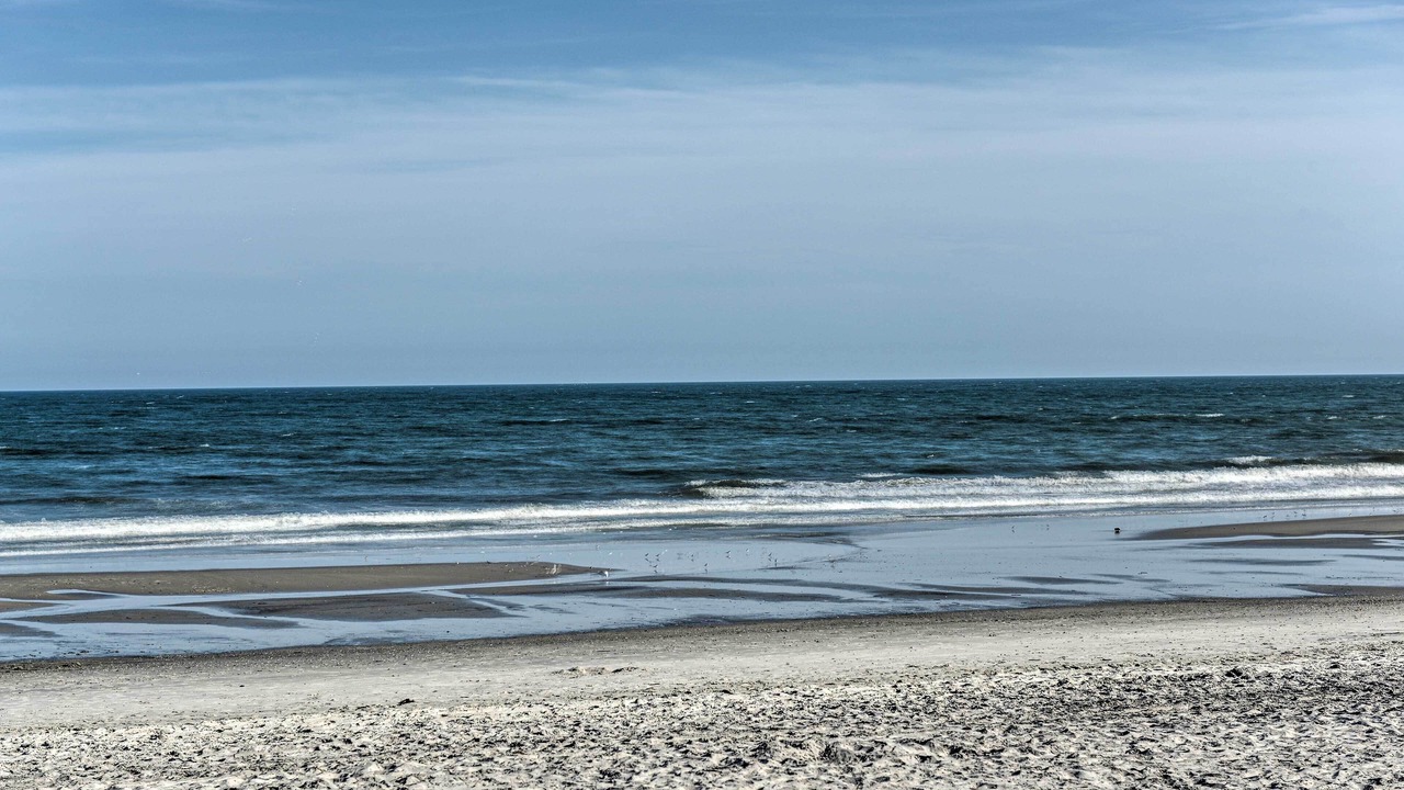 Photo of Others in Brigantine
