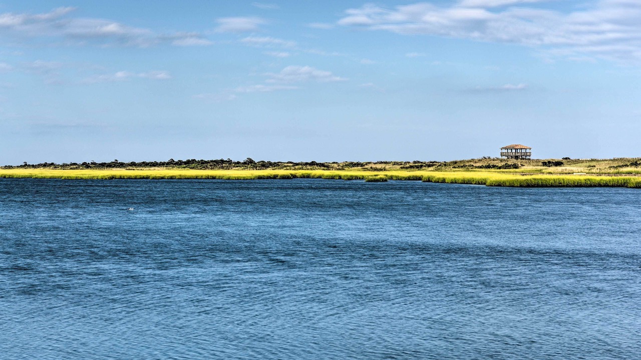 Photo of Others in Brigantine