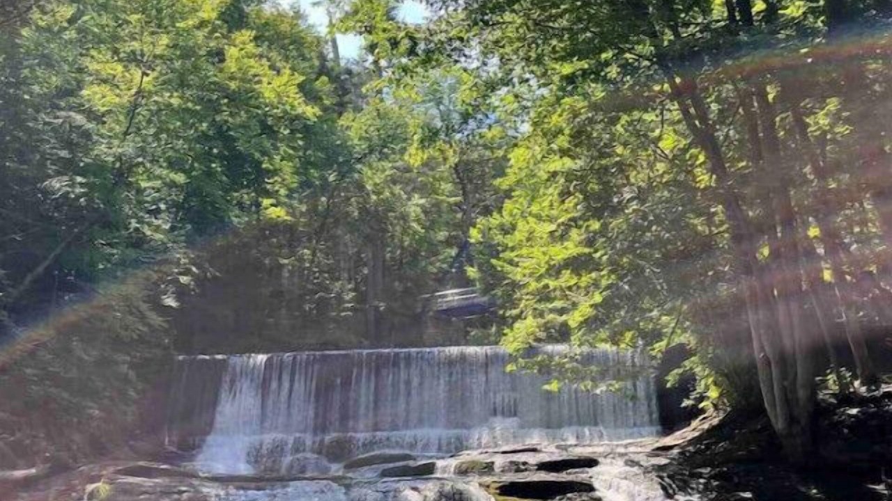 Photo of Others in Milford