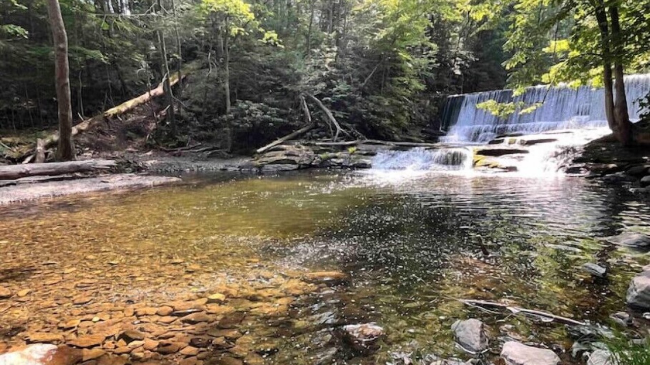 Photo of Others in Milford