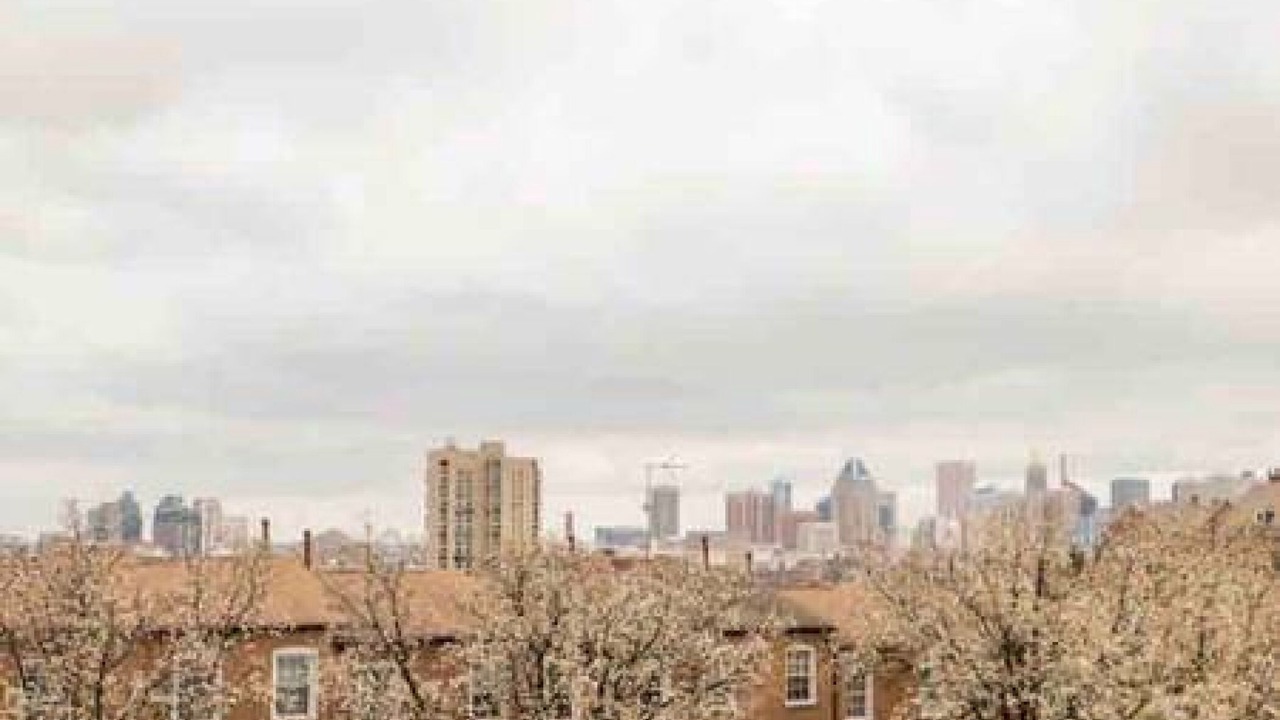 Photo of Outdoor in Downtown Baltimore