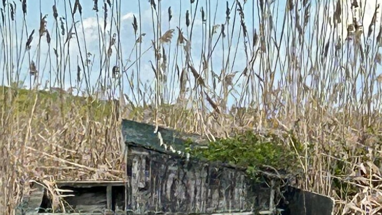Photo of Others in Smyrna