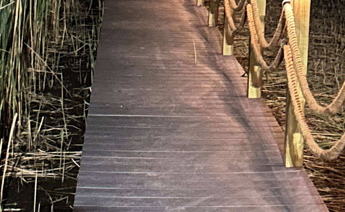 Photo of Others in Smyrna
