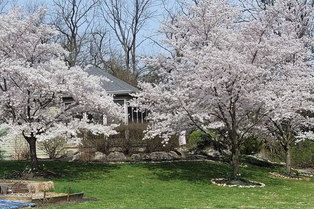 Photo of Outdoor in Butztown