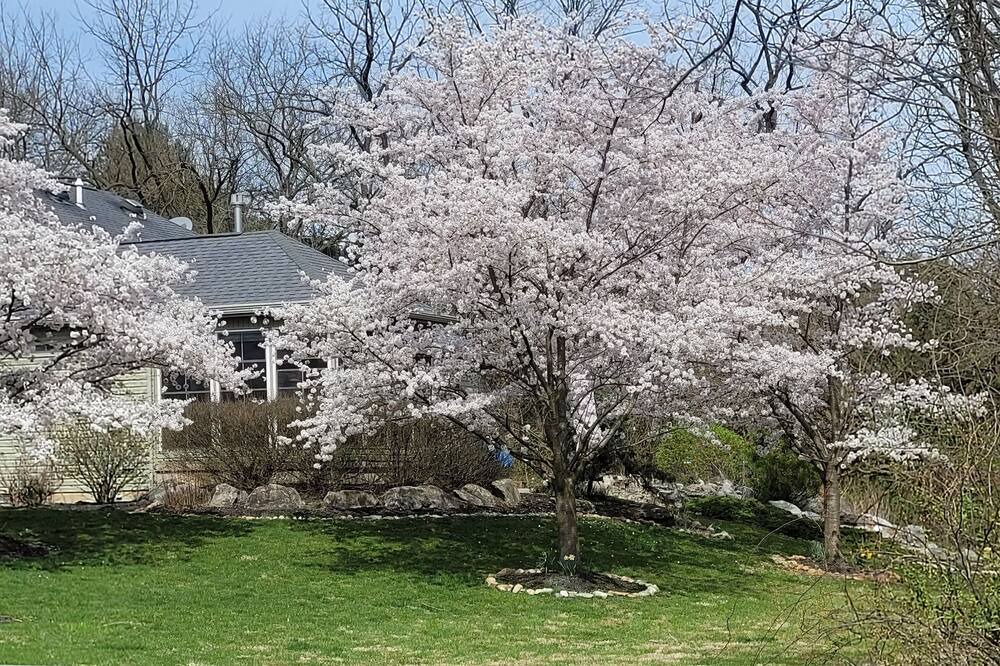 Photo of Outdoor in Butztown