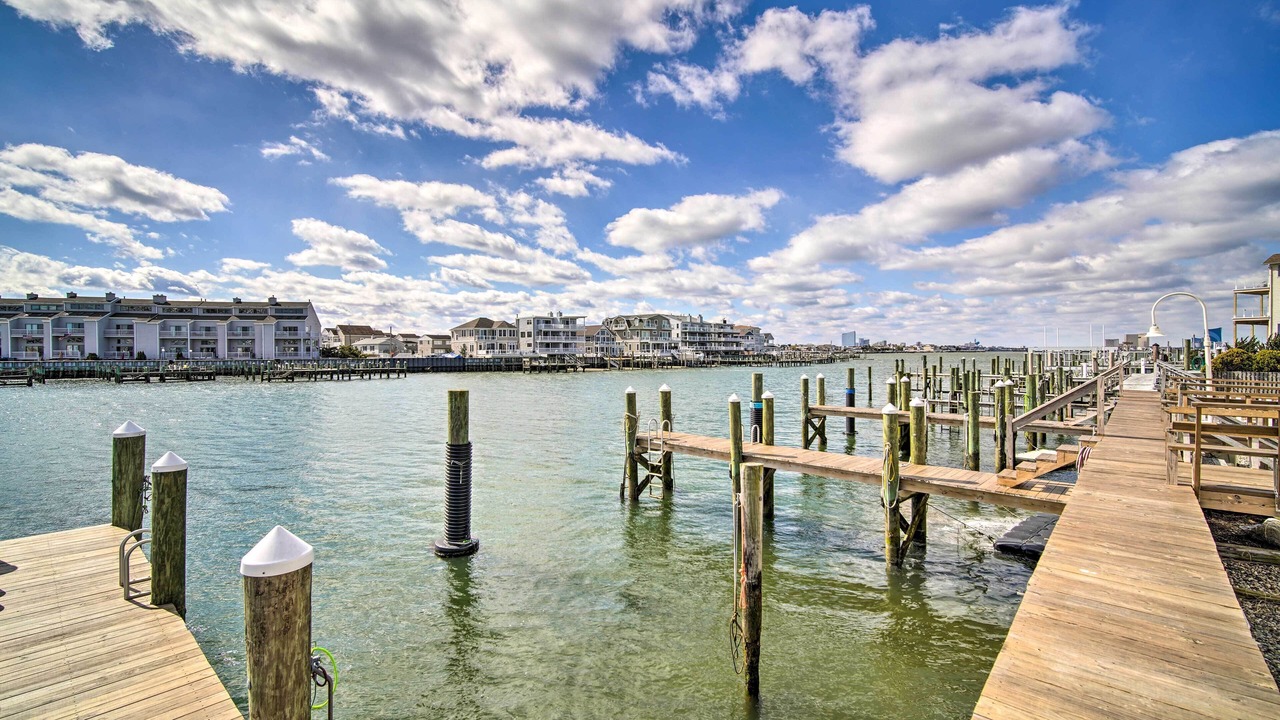 Photo of Others in Brigantine