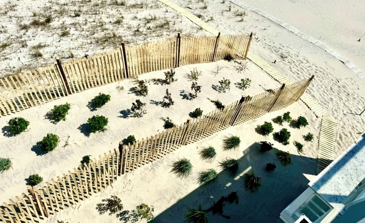 Photo of Outdoor in South Beach Haven